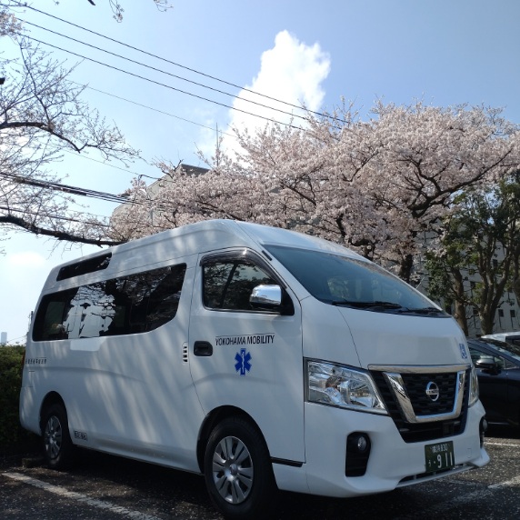 桜と介護タクシー